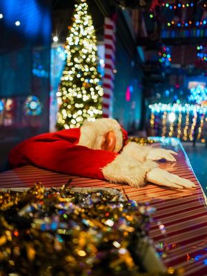 Image post by @brewstersbeergarden on Instagram