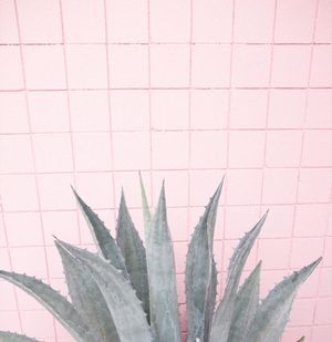 Image post by @mrkate on Instagram