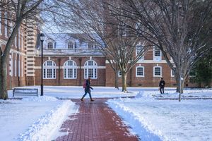 Image post by @udelaware on Instagram