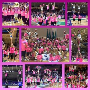 Image post by @fgcu_cheer on Instagram