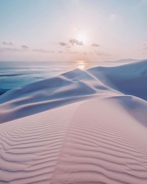 Image post by @fubiz on Instagram