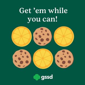 Image post by @sdgirlscouts on Instagram
