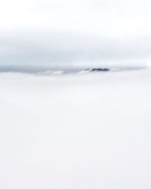 Image post by @cristan.nature.photography on Instagram