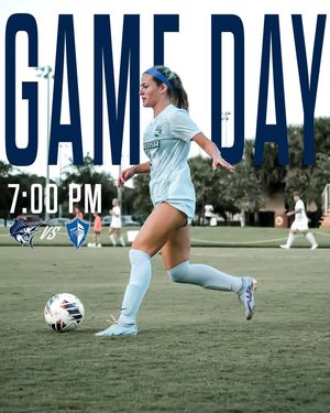 Image post by @kristinjenkinscreative on Instagram