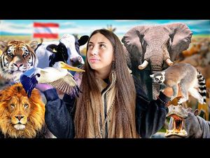 Video post by @BiancaGiurca24 on YouTube