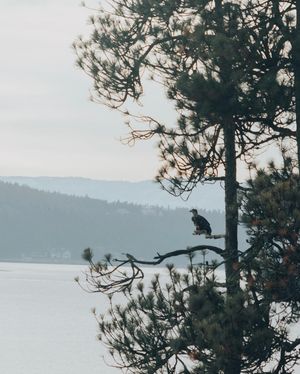 Image post by @takenbykathleen on Instagram