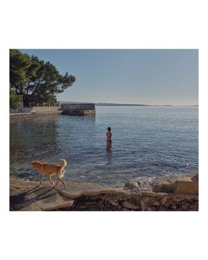 Image post by @fujifilmx_ca on Instagram