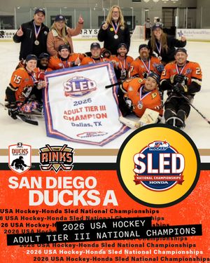 Image post by @the_rinks on Instagram
