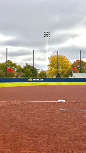 Image post by @NDsoftball on Twitter/X