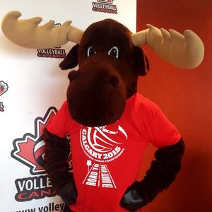 Image post by @volleyballcanada on Instagram