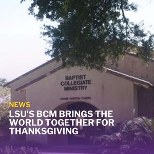 Image post by @lsutigertv on Instagram