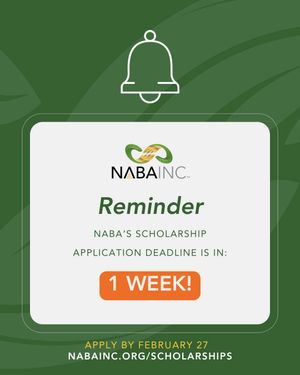 Image post by @nabainc on Instagram