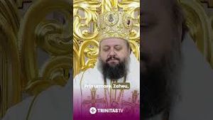 Video post by @trinitastvoficial on YouTube