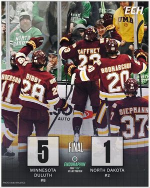 Image post by @everythingcollegehockey on Instagram