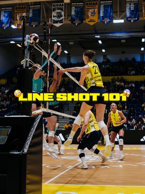 Image post by @lovbsl on Instagram