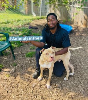 Image post by @DetroitGSD on Facebook