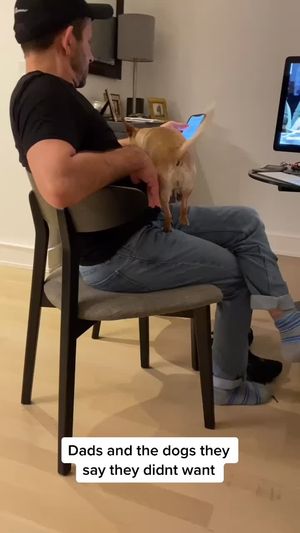 Video post by @oliviamancuso__ on TikTok
