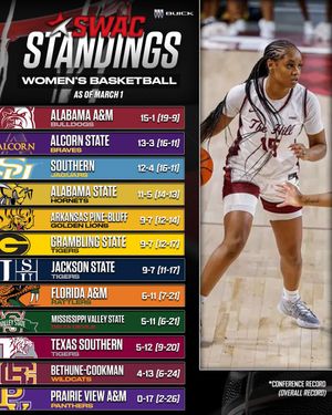 Image post by @theswac on Instagram