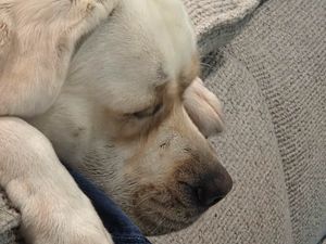 Image post by @shop_buddybythesea on Instagram