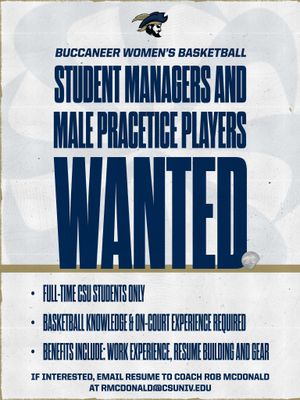 Image post by @csubucswbb on Instagram