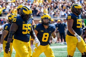 Image post by @zoeyholmstrom on Twitter