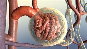 Video post by @nucleusmedicalmedia on YouTube
