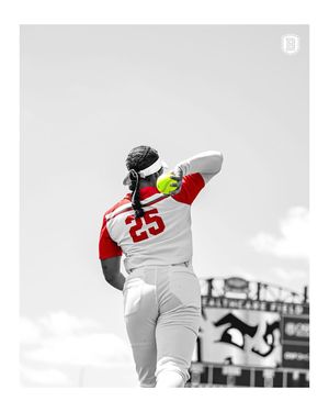 Image post by @bradleysoftball on Instagram