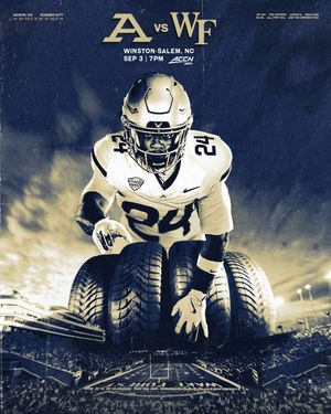 Image post by @zipsfb on Instagram