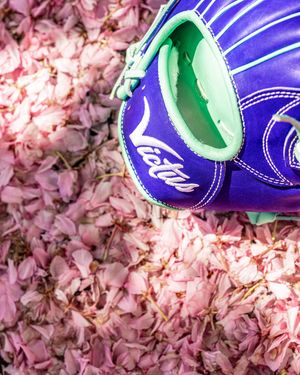 Image post by @victussports on Instagram