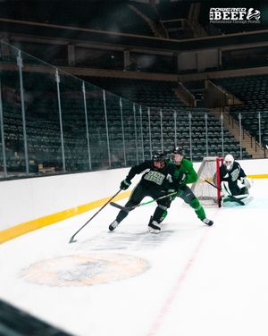 Image post by @undmhockey on Instagram