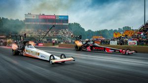 Image post by @teamkalitta on Instagram