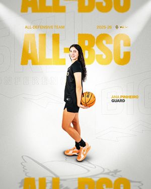 Image post by @vandalswbb on Instagram