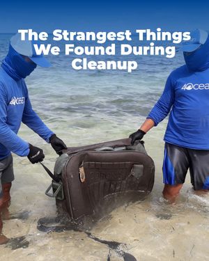 Image post by @4ocean on Instagram