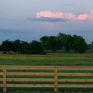 Image post by @txextension on Instagram