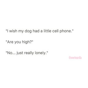 Image post by @overheardnewyork on Instagram