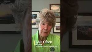 Video post by @vox on YouTube