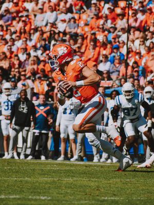 Image post by @cutigervision on Instagram