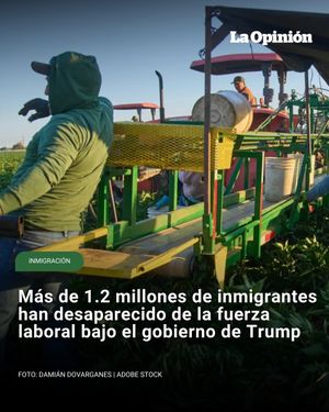 Image post by @laopinionla on Instagram
