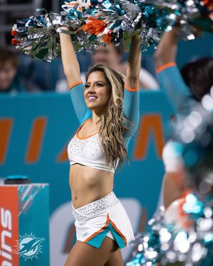 Image post by @dolphinscheer on Twitter