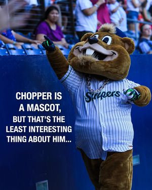 Image post by @gostripers on Instagram