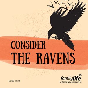 Image post by @familylifenypa on Instagram