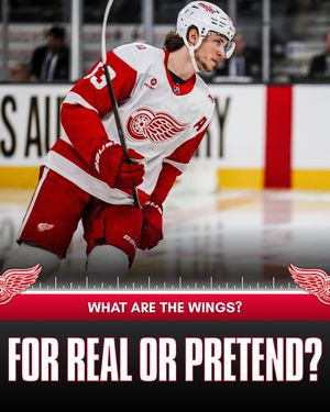 Image post by @redwingscoverage on Instagram