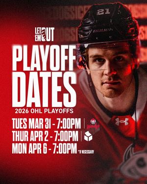 Image post by @ohlicedogs on Instagram