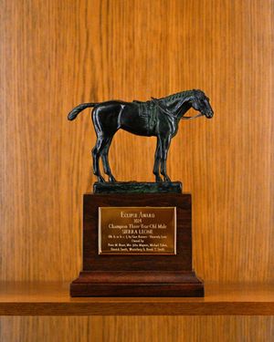Image post by @coolmoreamerica on Instagram