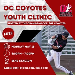 Image post by @YotesBaseball on Twitter