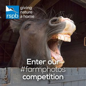 Image post by @rspb on Instagram