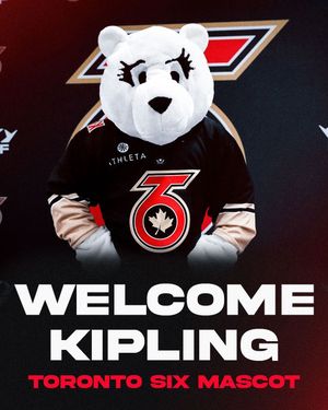 Image post by @the.torontosix on Instagram