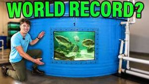 Video post by @jonbrollin on YouTube