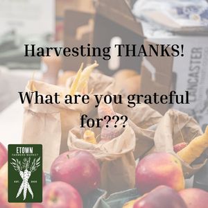 Image post by @Elizabethtown Farmer's Market on Facebook