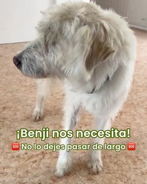 Image post by @tierradenando on Instagram